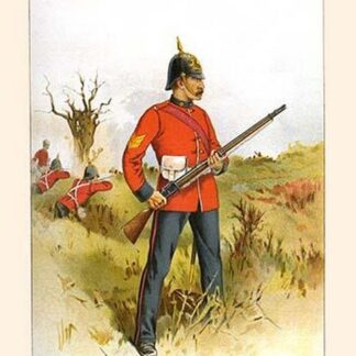 15th Royal Sussex by Walter Richards