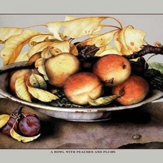 A Bowl with Peaches and Plums by Giovanna Garzoni