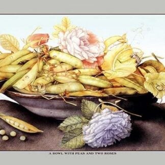 A Bowl with Pears and Two Roses by Giovanna Garzoni