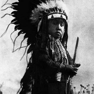A Cheyenne Warrior of the Future