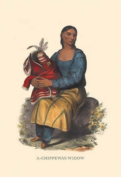 A Chippewah Widow by Mckenney & Hall