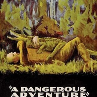 A Dangerous Adventure