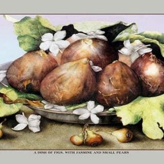 A Dish of Figs with Jasmine and Small Pears by Giovanna Garzoni