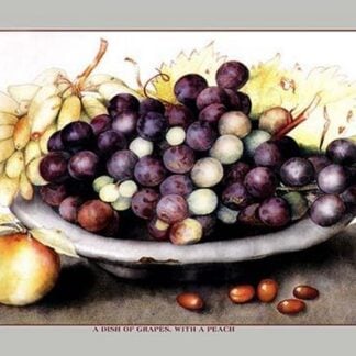 A Dish of Grapes and Peaches by Giovanna Garzoni