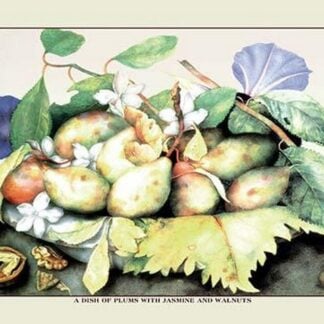A Dish of Plums with Jasmine and Walnuts by Giovanna Garzoni
