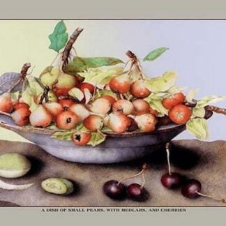 A Dish of Small Pears With Medlars and Cherries by Giovanna Garzoni