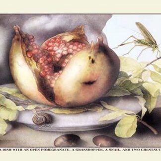 A Dish with a Pomegranate