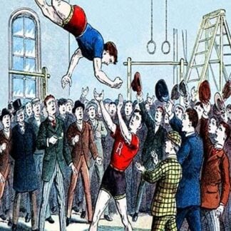 A Fight in the Gymnasium