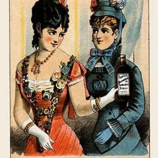 A Good Angel's Visit - A Tale of Scovil's Sarsaralilla