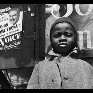 A Harlem Newsboy by Gordon Parks