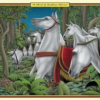 A Herd of Arabian Horses by Richard Kelly