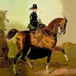 A Ladies' Horse by Samuel Sidney