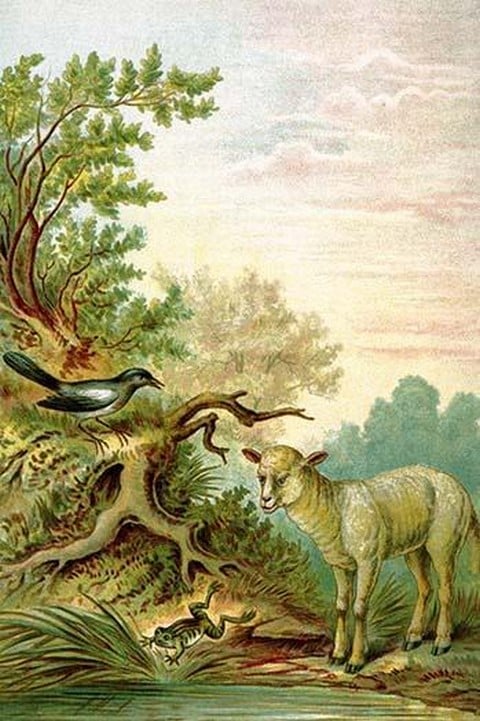 A Raven looks on as a Lamb scares a frog who jumps into the water by Anton Hochstein