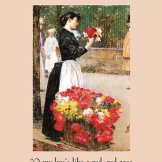 A Red Rose by Robert Burns