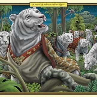 A Streak of Siberian White Tigers by Richard Kelly
