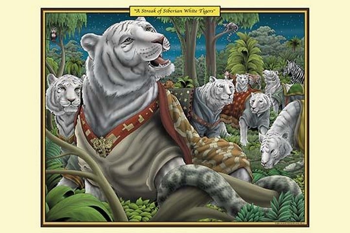 A Streak of Siberian White Tigers by Richard Kelly