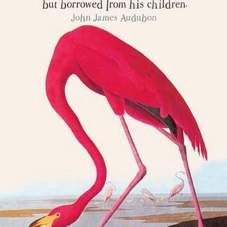A True Conservationist by John James Audubon