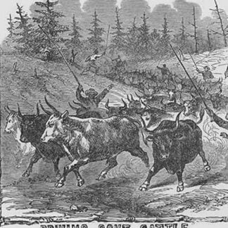 African American Cattle Drovers by Frank Leslie