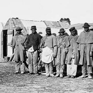 African American Teamsters