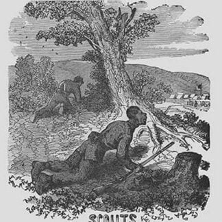 African Americans as Scouts by Frank Leslie