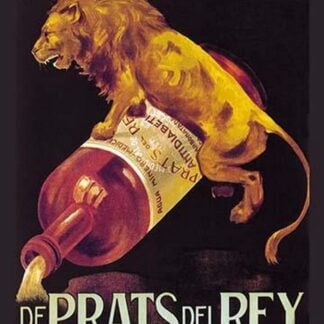 Agua Minero Medicinal de Prats del Rey