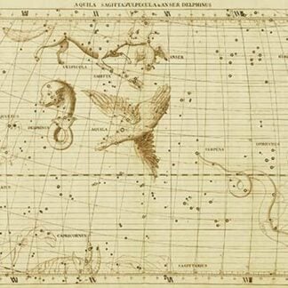 Aguila Sagittavulpecula & Anser Delphinus by Sir John Flamsteed