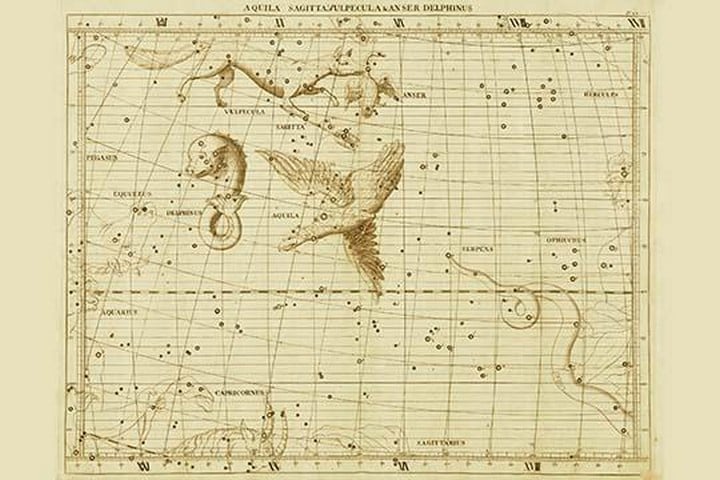 Aguila Sagittavulpecula & Anser Delphinus by Sir John Flamsteed