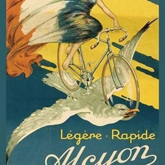 Alcyon Bicycles