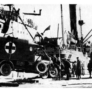 Among the First Arrivals