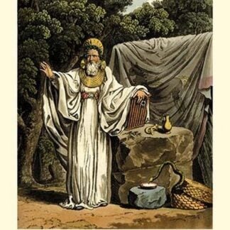 An Arch Druid in His Judicial Habit