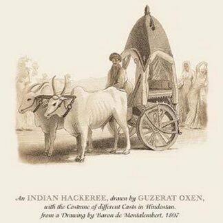 An Indian Hackeree by Baron de Montalemert