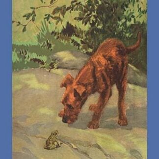 An Irish Terrier Puppy by Diana Thorne