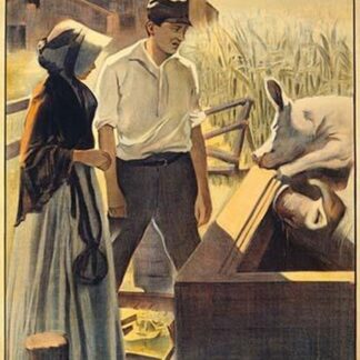 An Unselfish love by ABC Company