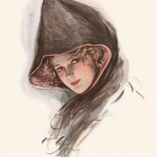 And Yet Her Eyes Can Look Wise by Harrison Fisher