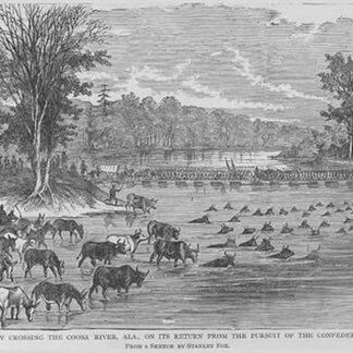 Animals ford Coosa river along with Federals that have been chasing General Hood by Frank Leslie