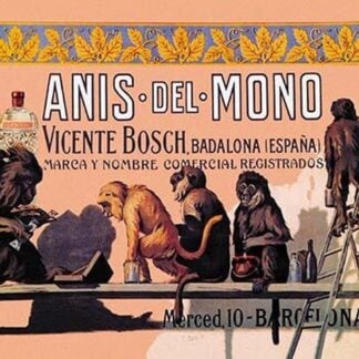 Anis del Mono