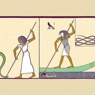 Apap by John Gardner Wilkinson