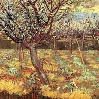 Apricot Trees in Blossom by Vincent van Gogh