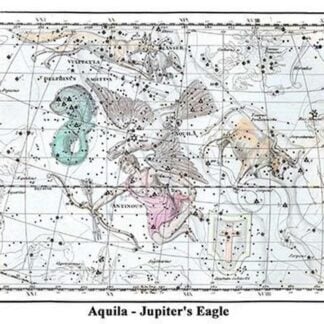 Aquila - Jupiter's Eagle by Alexander Jamieson