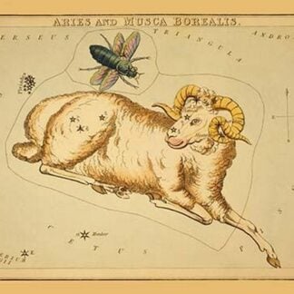 Aries and Musca Borealis by Jehosaphat Aspin
