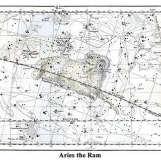 Aries the Ram by Alexander Jamieson