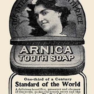 Arnica Tooth Soap