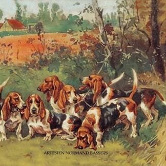 Artesien Normand Bassets by Baron Karl Reille