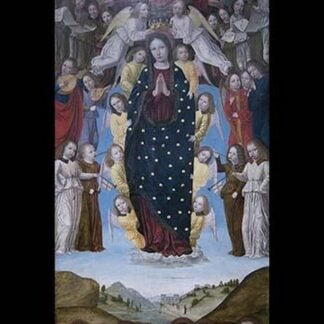 Assumption of the Virgin by Bergognone