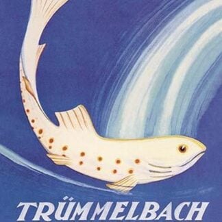 Auto Tour Trummelbach by Anton Trieb