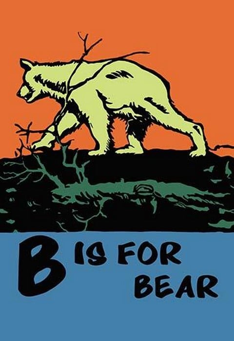 B is for Bear by Charles Buckles Falls