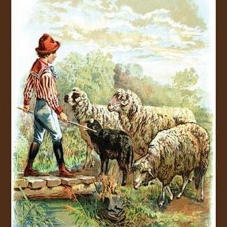 Ba-a Ba-a Black Sheep