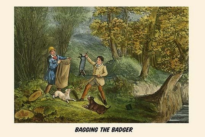 Bagging the Badger by Henry Alken