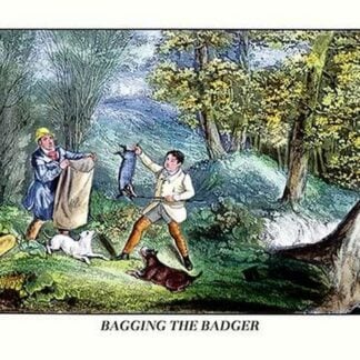 Bagging the Badger by Henry Thomas Alken