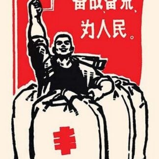 Bags of Food by Chinese Government